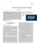 Anatomy and Physiology of Collateral Respiratory Pathways