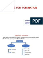 Agents For Pollination: Durgeshwer Singh Department of Botany Mahatma Gandhi Central University