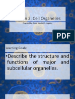 Lesson 2: Cell Organelles: Prepared By: Robin Angelo DS. Angeles