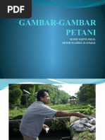 Download GAMBAR-GAMBAR PETANI by NineZero Posmen Berjaya SN52936730 doc pdf