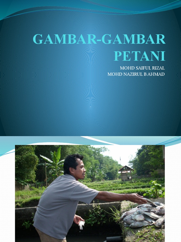 Gambar Gambar Petani
