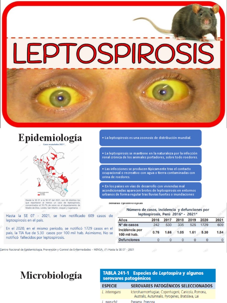 Leptospirosis PDF