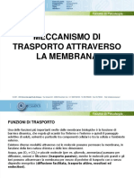 Meccanismo Di Trasporto Attraverso La Membrana