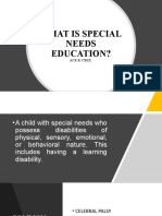 What Is Special Needs Education?: Ace B. Cruz