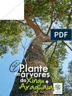 Plante_arvores_Xingu_Araguaia-guia-ISA