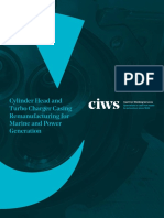 CIWS Brochure 2020r-Compressed
