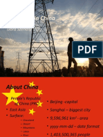 Electricity in China: Dóra Szénásy