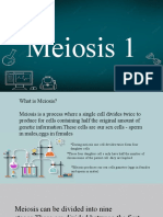 Biologymeiosis 1 Group 2