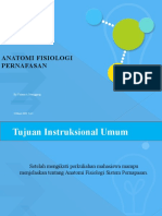 Anfis Sistem Pernapasan