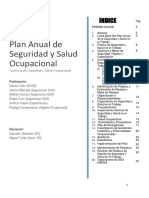 368402508-Plan-Anual-de-Seg