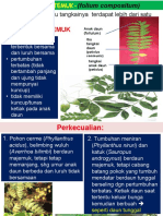 Daun Majemuk Komposit