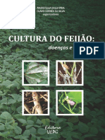 Cultura Do Feijao 486960