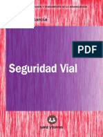 5 Seguridad Vial