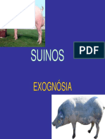 exognosia - suínos