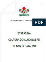 ETAPAS NA CULTURA DO ALHO NOBRE EM SANTA CATARINA