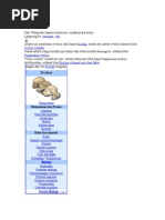 Download TEORI Evolusi by Annisa Mouchtar SN52944353 doc pdf