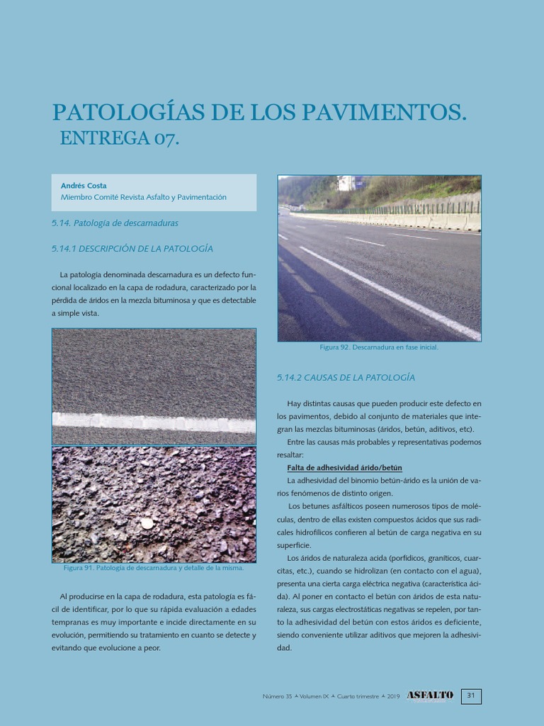Patología de descarnaduras en pavimentos | PDF | Asfalto | Agua