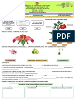 Activ - Ciencias Naturales de 6to - 2p1q