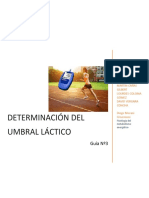 Informe Umbral Lactico