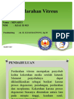 372930970-Perdarahan-Vitreus