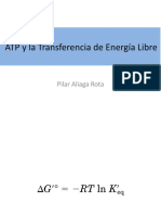 ATP y La Transferencia de Energía Libre