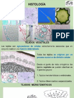 histología