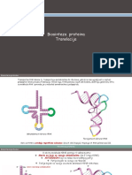Biosinteza Proteina. Translacija 169