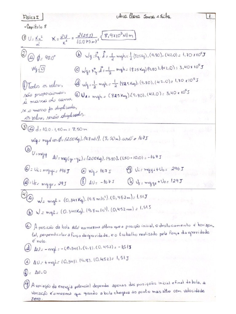 Respostas Cap 8 Pdf