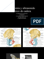 Anatomía de Cadera y Ultrasonido de Cadera