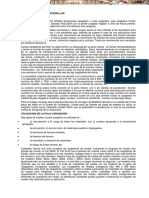 Curso Pá Carregadora-frontal Caterpillar