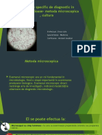 Metodele Specific de Diagnostic in Bolile Infectioase - Metoda