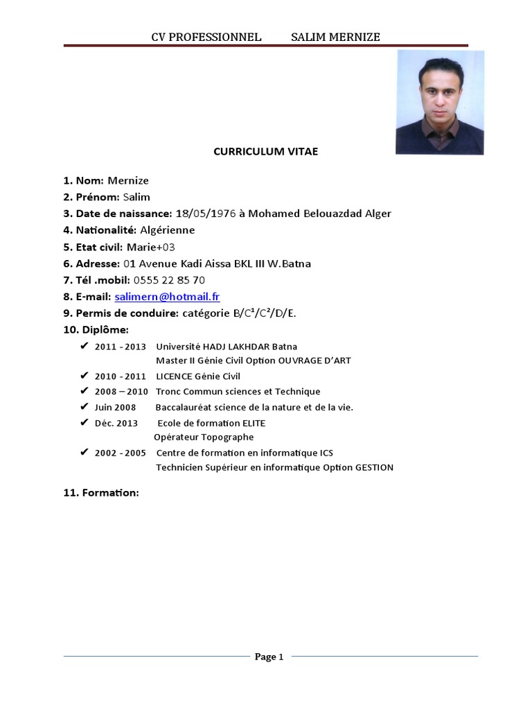 CV Salim | PDF | Pont