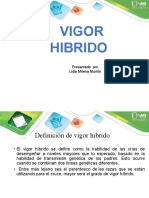 Vigor Hibrido