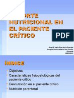 Soportenutricionalenelpacientecrtico 101108144513 Phpapp01