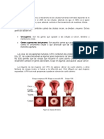 Fase 1 Biología Molecular