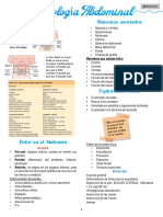 Semio Del Abdomen - MED 1