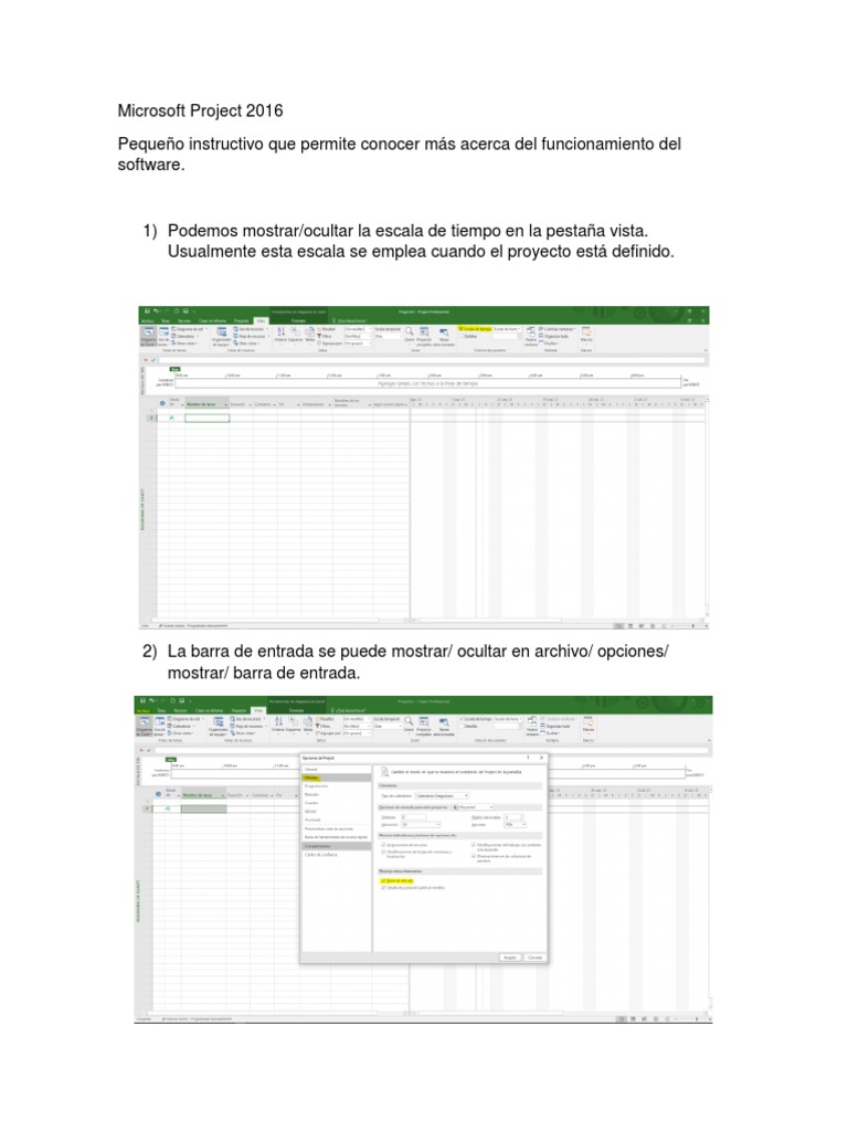 Guía de Uso de Microsoft Project 2016 | PDF | Microsoft | Informática