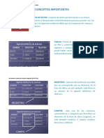 Conceptos Importantes Acces 2010