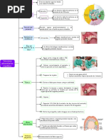 Técnicas de Anestesia Mandibular | PDF | Diente | Boca