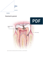 Caries dentales: causas, síntomas y tratamiento