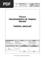 Protocolo Ruv Achs | PDF | Ultravioleta | Seguro