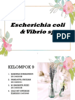 E.Coli Morfologi