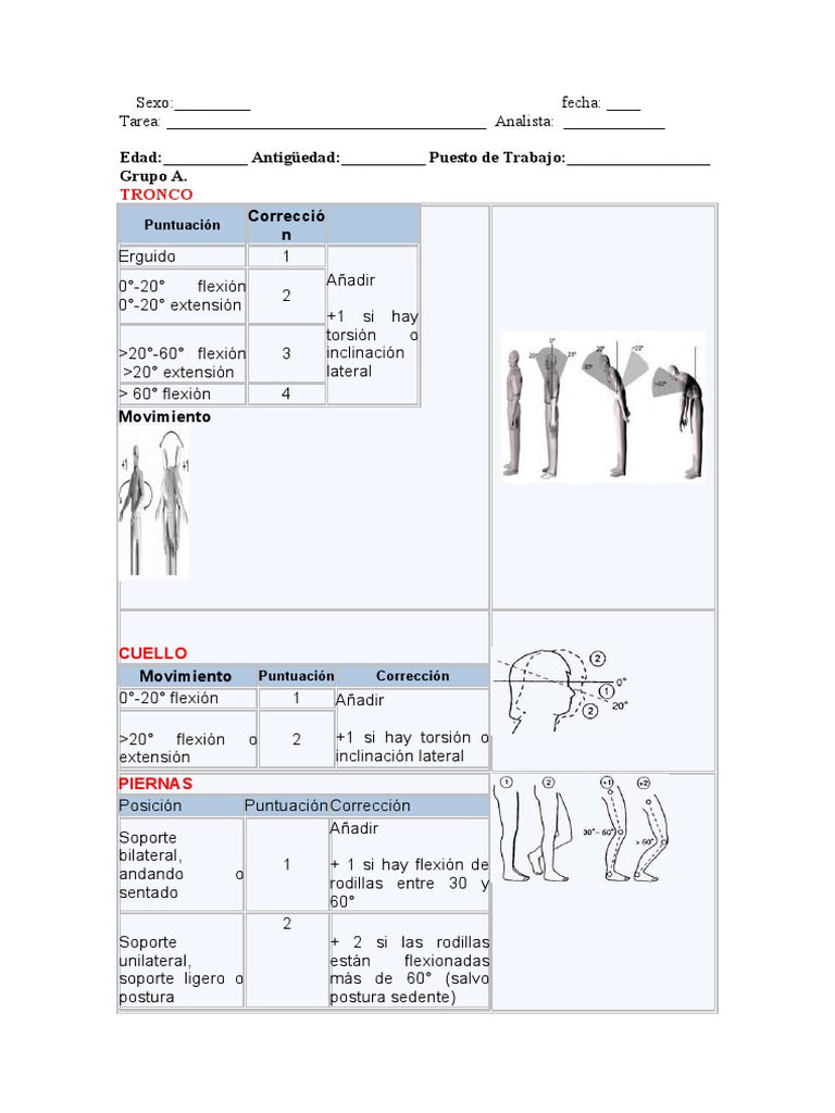 Evaluación Método REBA en Ergonomía | PDF | Mano | Rodilla