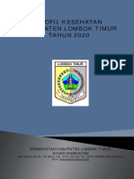 Profil Kesehatan Lombok Timur 2020