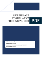 Multiphase Flow Correlation Report