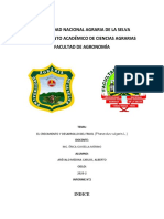 INFORME N°2 Crecimiento y Desarrollo FISIOLOGIA VEGETAL