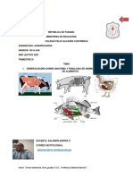 Guia 1 Tercer Trimestre 8vo 2021. Aula Virtual