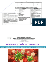 Morfologia de Los Microorganismos