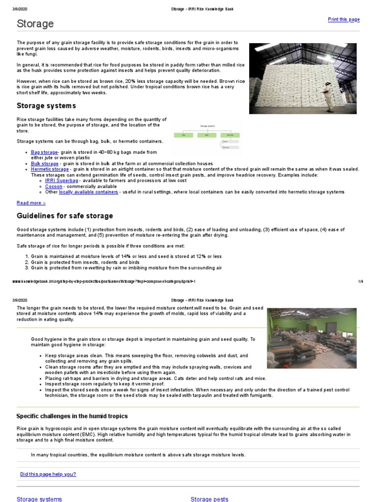 Storage - IRRI Rice Knowledge Bank | PDF | Rice | Agriculture