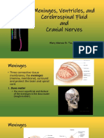 Meninges, Ventricles, and Cerebrospinal Fluid and Cranial Nerves
